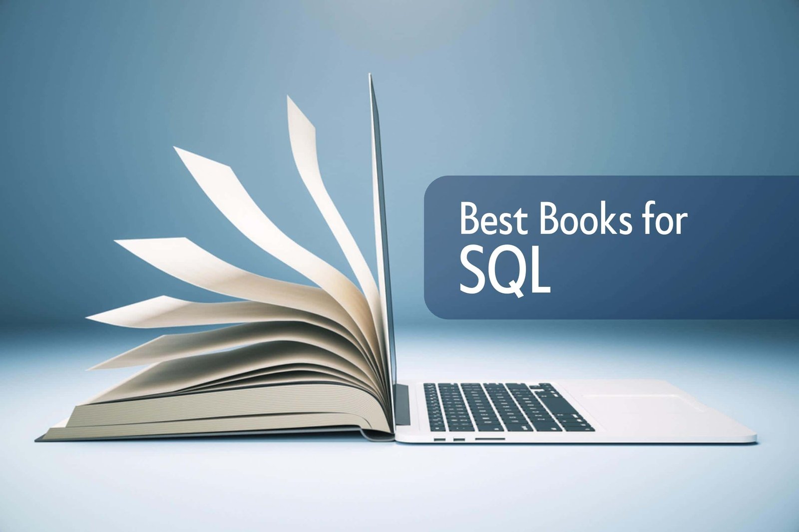 8 Best Books for SQL