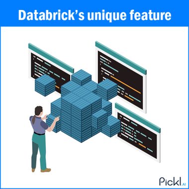 Databrick’s unique feature