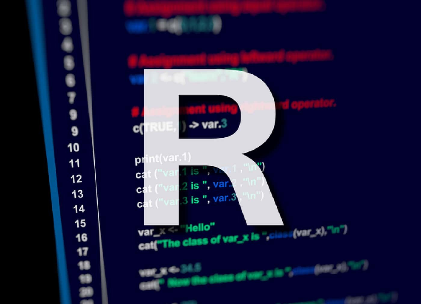 Types of Functions in R Programming