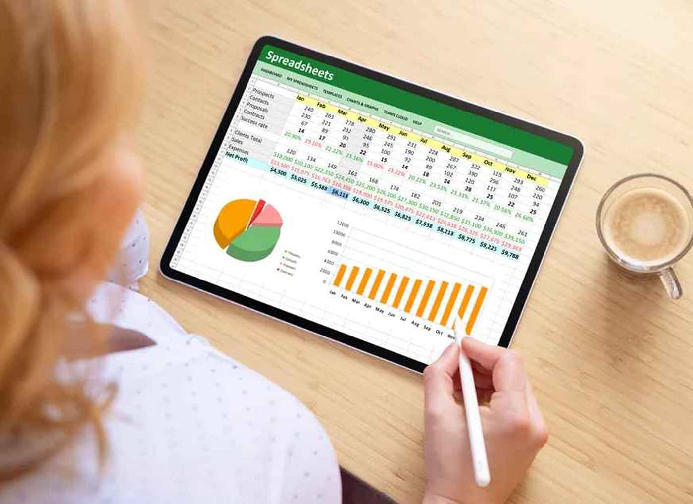 Data Validation in MS Excel: A Guide