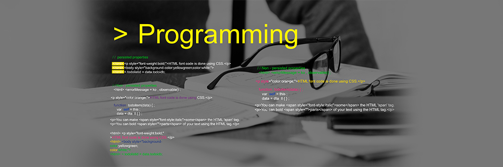 Image showing the programming languages list.