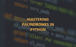 Mastering Palindrome program in Python