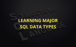 Data Types in SQL: A Comprehensive Guide with Examples