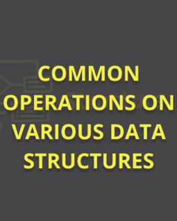 Discover the Role of Entropy in Machine Learning