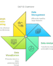 Image showing SAP BI Overview