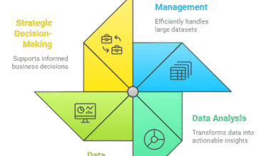 Image showing SAP BI Overview