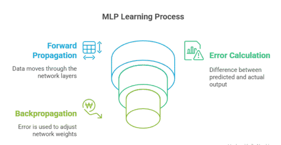 Multilayer Perceptron in Machine Learning