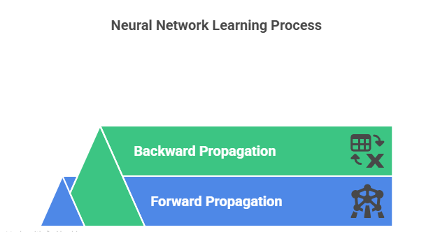 Forward and backward propagation