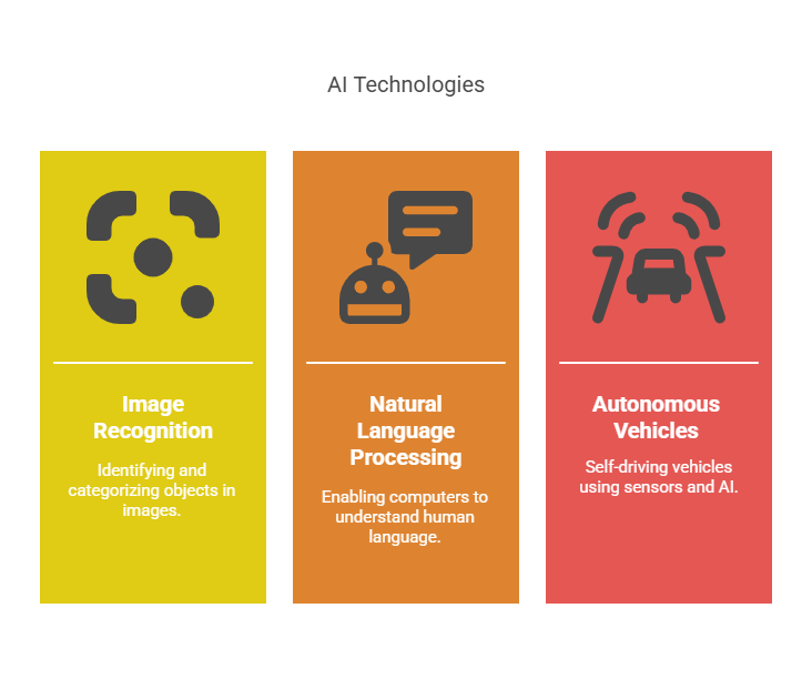 Real-world applications of biases and weights in neural networks