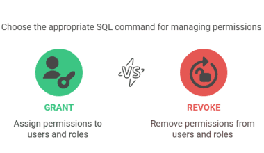 Grant and Revoke Function in SQL