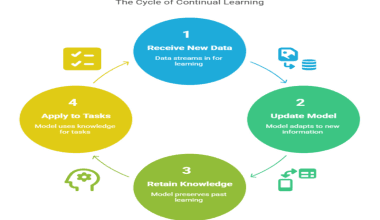 cycle of continual learning
