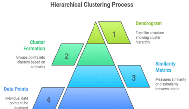 Hierarchical Clustering Process