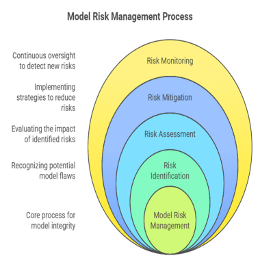 model risk management process
