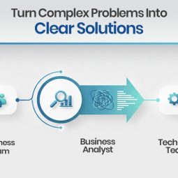 Role of Business Analyst
